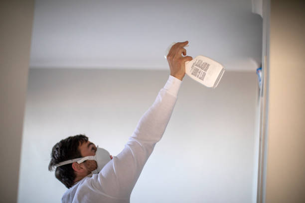 Best Basement Mold Remediation in Hammond, IN